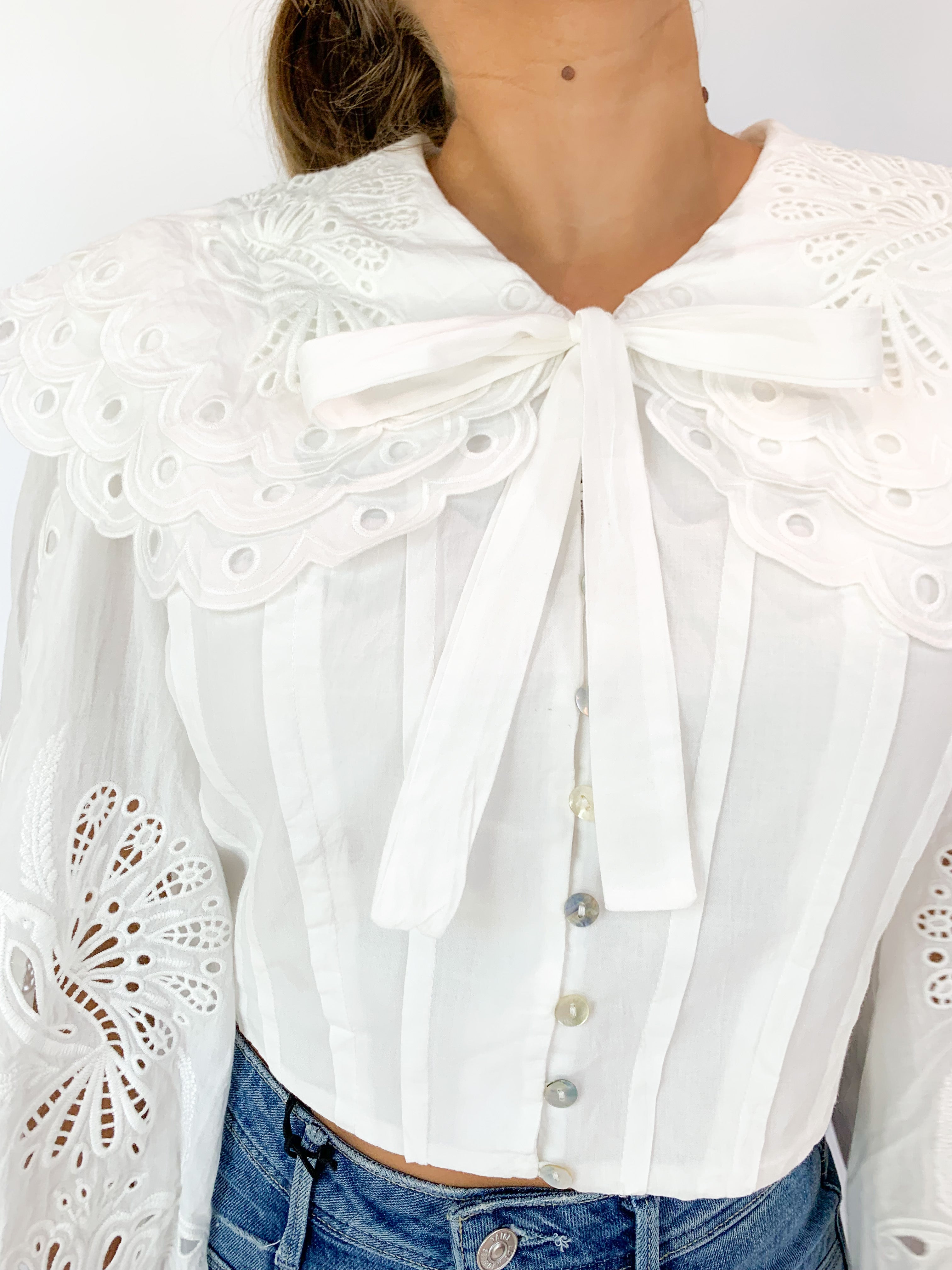 Big Lace Collar Blouse